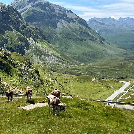 Ospizio La Veduta Hotel Bivio Buitenkant foto